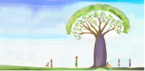 baobab