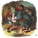 dodo